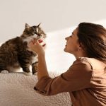 การผูกมิตรกับแมว ต้องรู้วิธีการสื่อสารและพฤติกรรมของแมว