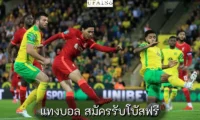 แทงบอล สมัครรับโบนัสฟรี